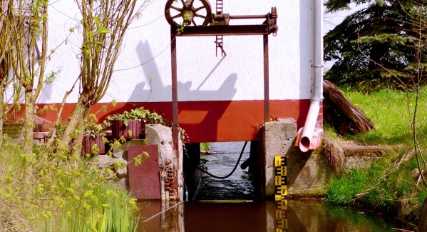 Aalfang im Gebäude