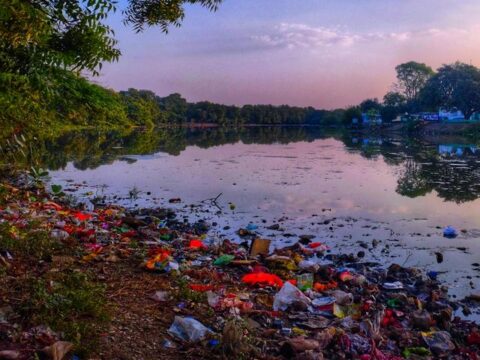 Gefährdungen des Aals (Entwurf) Umweltverschmutzung