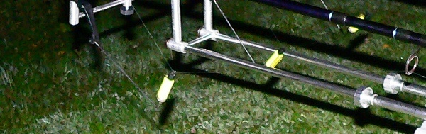 Swinger