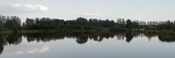 Teich