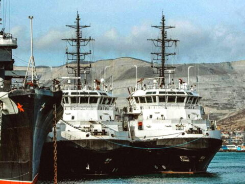 Die Europäisch-Asiatische Aal-Mafia