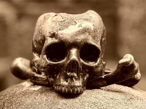 Rückblick 2005 – Juli: Können Aale mit ihrem Schwanzende sehen ?! Aberglaube