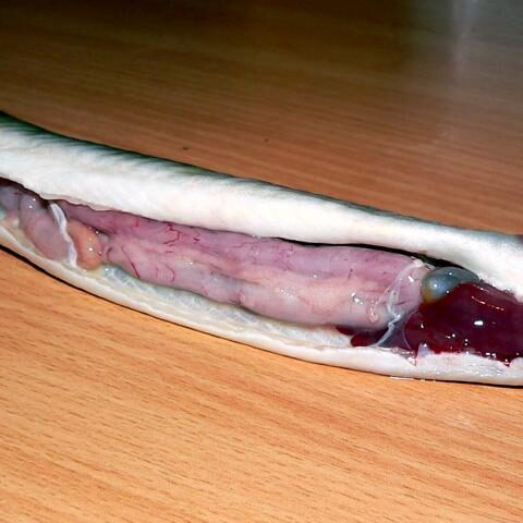 Biologie