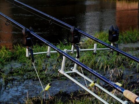 Bissanzeiger Swinger Rod Pod Profi