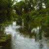 Fluss Bach